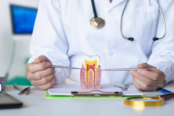 Best Emergency Dental Services for Seniors in Asheboro, NC